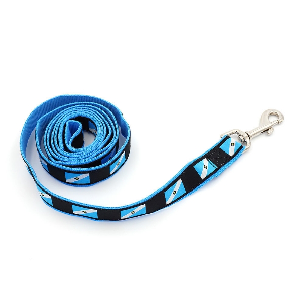 Madison flag dog leash with light blue border and Madison flag repeating on black leash.  The inside of the leash is light blue. The Madison flag is light blue with a diagonal white stripe and a diamond flower in the center.
