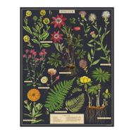 Assembled "Herbarium" puzzle with colorful, vintage illustrations of labeled flowers and ferns on a black background.