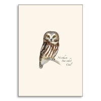 Note card with Sibley saw-whet owl illustration.