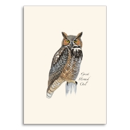 Note card with Sibley great horned owl illustration.