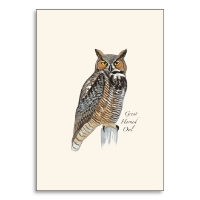 Note card with Sibley great horned owl illustration.