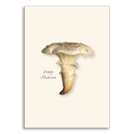 Note card with color illustration of the potato mushroom.