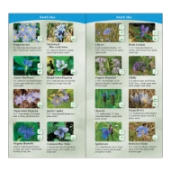 Page sample from "Wildflowers of the Midwest" quick guide showing 16 photos of different flowers on a two-page spread.