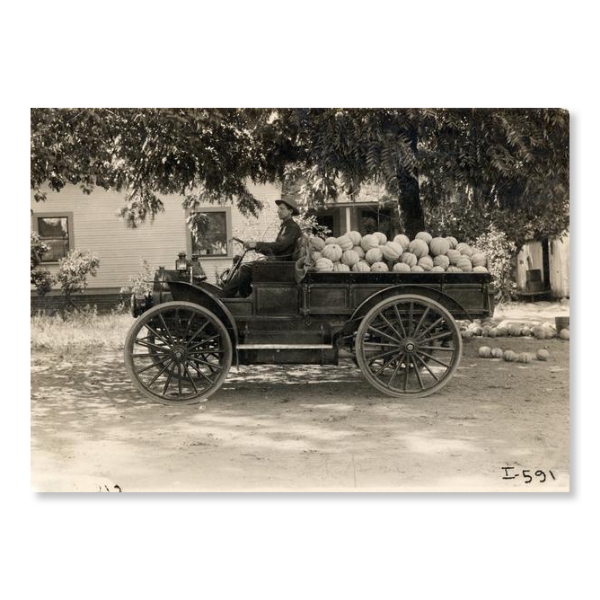 Black and white photograph of International Model "M" truck with load of pumpkins. circa 1913.