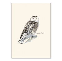 Note card with illustration of a snowy owl as painted by Sibley.