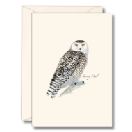 Note card with illustration of a snowy owl as painted by Sibley with matching envelope.