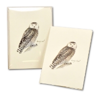 Note cards with illustration of a snowy owl as painted by Sibley. Shown with clear plastic box.