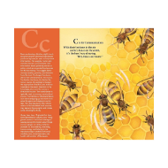 Page sample from "H is for Honey Bee" with full color illustration of honey bees on honeycomb and text that begins "C is for communication."