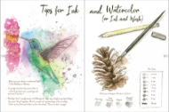 Inside sample of "Drawn to Birds" with full page illustration of Hummingbird and pine cone with "Tips for Ink and Watercolor."