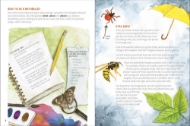 Inside sample of "Nature Explorer" book for young readers. Page on left with tips for journaling and page on right with tips for staying safe in nature.