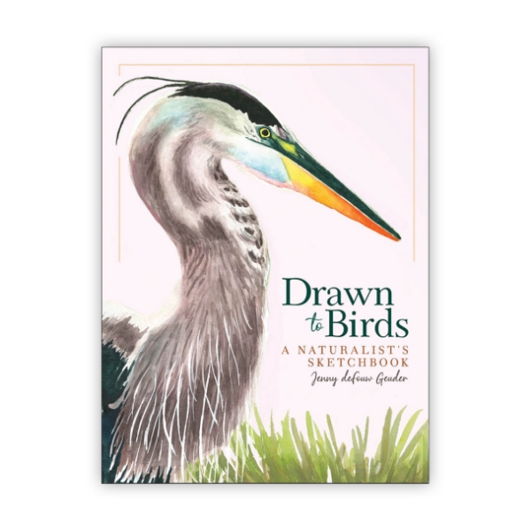 Book cover of "Drawn to Birds" with full page illustration of heron in profile over white background.