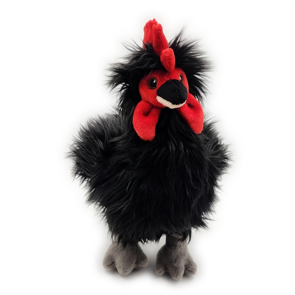 A front view of a black and red Java chicken