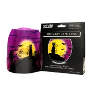 The Salem Luminary Lanterns - Set of 4 in its packaging