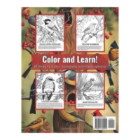 Back cover of "Birds of Wisconsin Coloring Book" with four examples of inside pages with outlined birds to color.