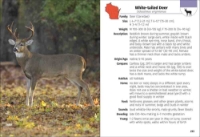 Page sample from "Mammals of Wisconsin" Field Guide showing pages 292-293 about the White-tailed deer.